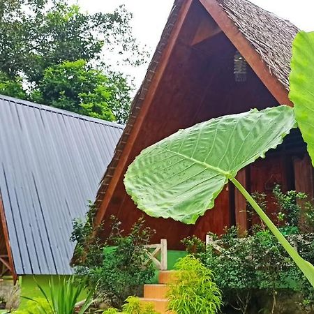 Green Forest Tangkahan Екстериор снимка