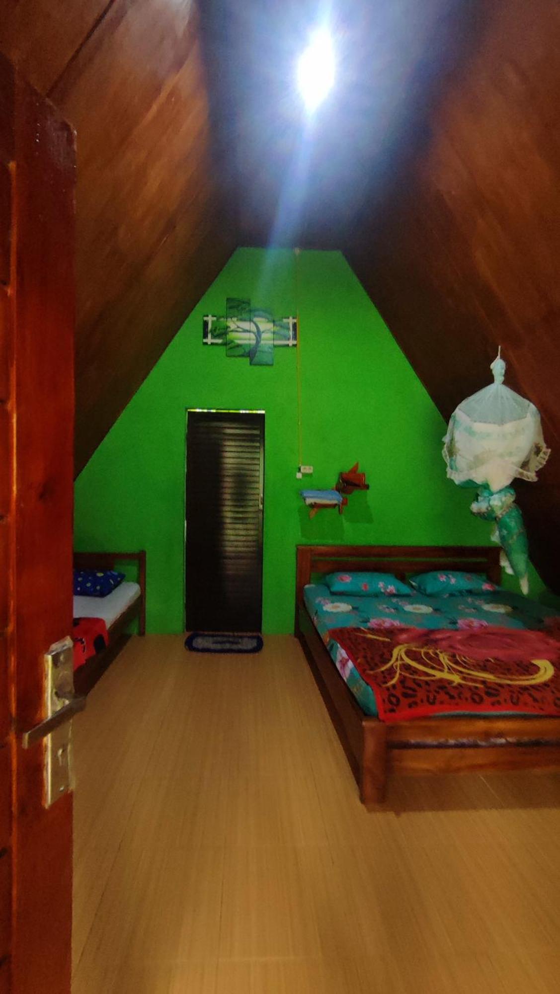 Green Forest Tangkahan Стая снимка