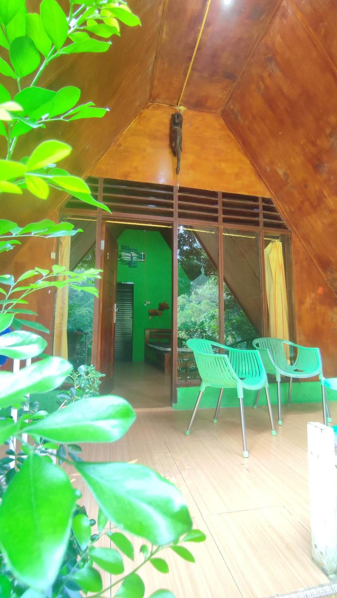 Green Forest Tangkahan Стая снимка