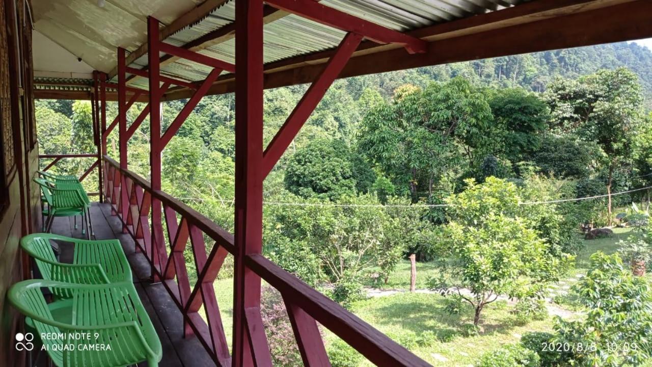 Green Forest Tangkahan Стая снимка