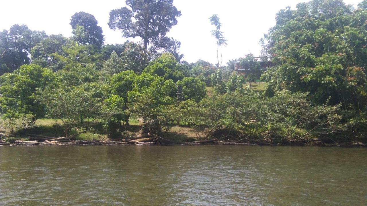 Green Forest Tangkahan Екстериор снимка