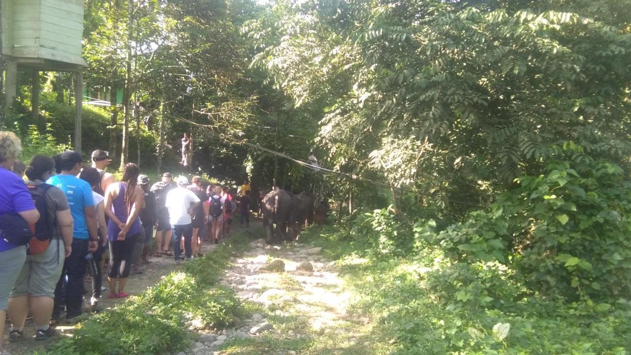 Green Forest Tangkahan Екстериор снимка